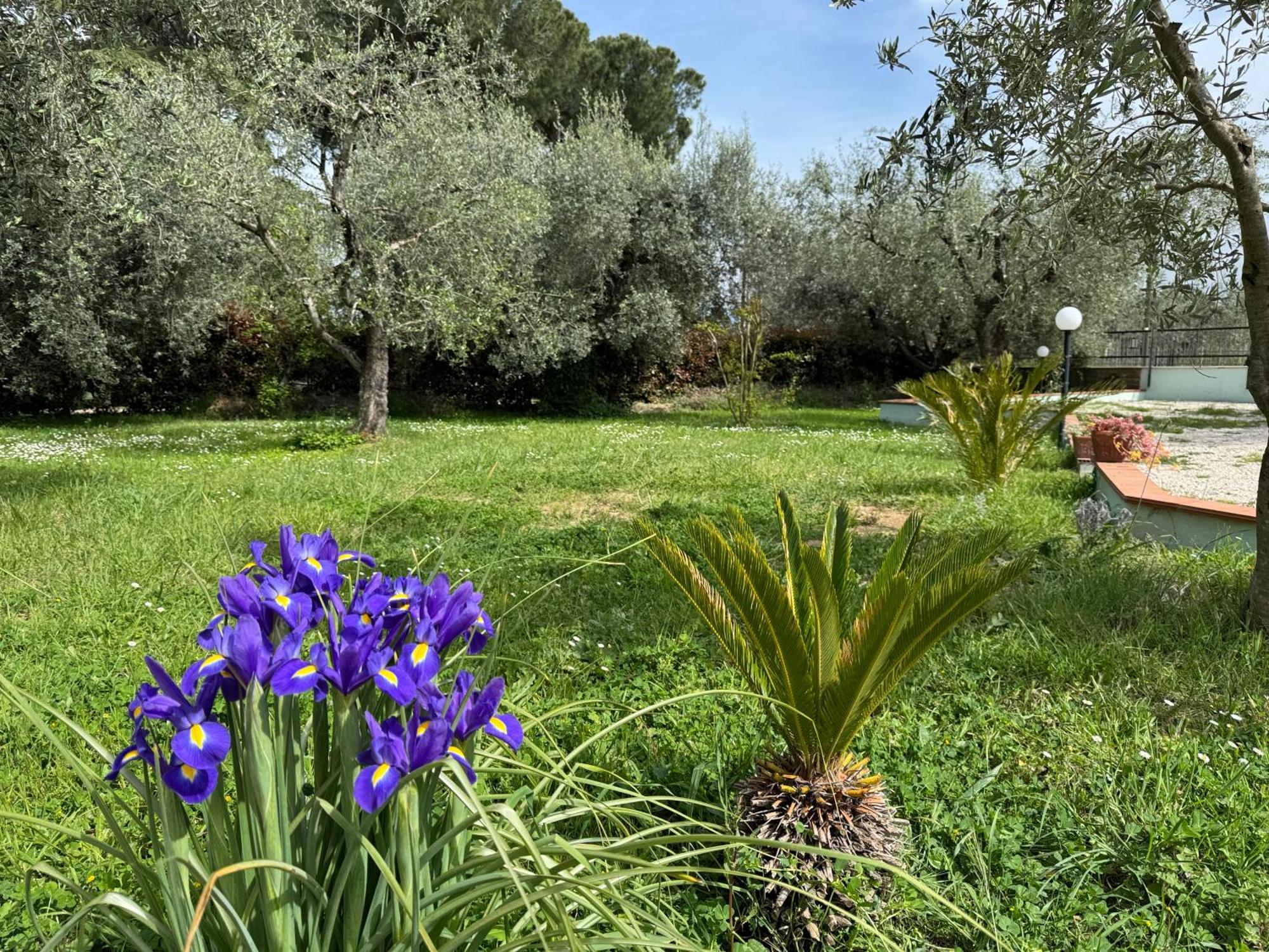 La Piccola Provenza Villa Fiano Romano Bagian luar foto